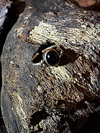 Eleganter verstellbare Ring aus Messing/Kupfer mit schwarzem Onyx