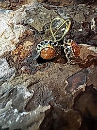 Goldfluss Ohrringe im Vintage-Design – Yıldız Taşı mit Kupferglanz Fassung