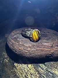 Tigerauge Ring – Klassisches Ornament Design | verstellbar | Messing & Kupfer