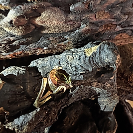 Mystic Topaz Ring gold – Messing & Kupfer – minimalistisches Design – verstellbar