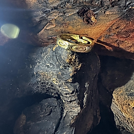 Verstellbarer Kupfer-Messing Ring mit Kreisgravur – handgefertigter Boho Statement Schmuck